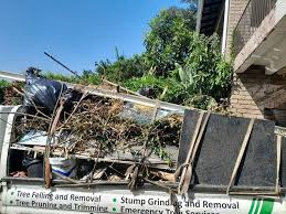 Best Construction Debris Removal  in Hamilton, AL