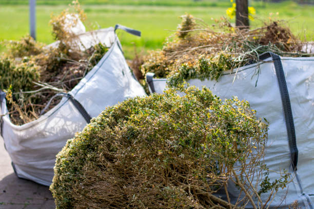 Trusted Hamilton, AL Junk Removal Services Experts